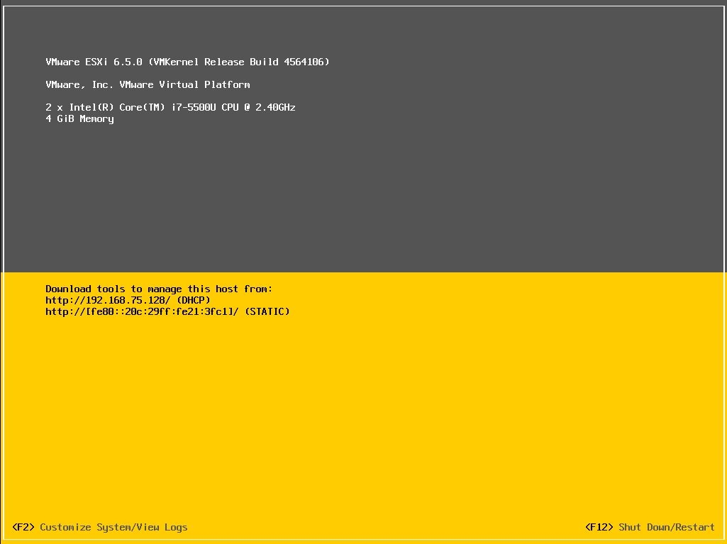 esxi65inworkstation1008.jpg